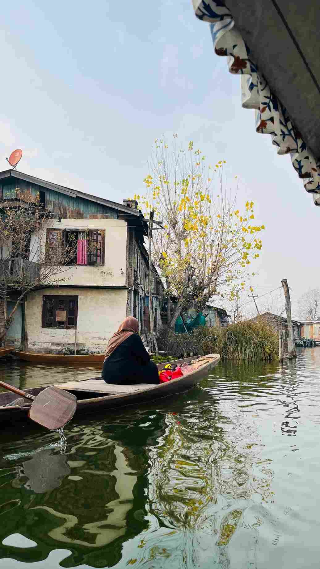 A person sitting in a wooden boat glides through calm waterways beside traditional lakeside houses and autumn trees, reflecting on the water in Kashmir. 